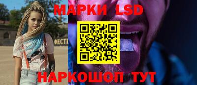 PSILOCYBIN Гатчина