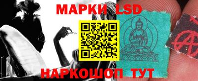 PSILOCYBIN Гатчина