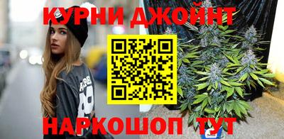 PSILOCYBIN Гатчина