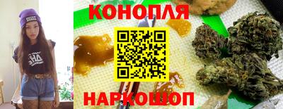 бошки Гай