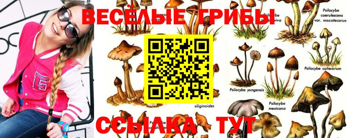 Псилоцибиновые грибы Psilocybine cubensis  Вход с VPN  Галлюциногенные грибы Cubensis  Коломна 